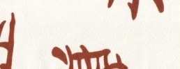 Bezug GUMMI in Farbe 101.Japanisch braun